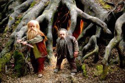 Cine sunt gnomi, elfi și zâne?