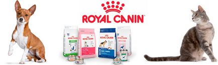 Купити корм роял Канін для собак (сухий) 🐕 за недорогою ціною royal canin собаці купують в