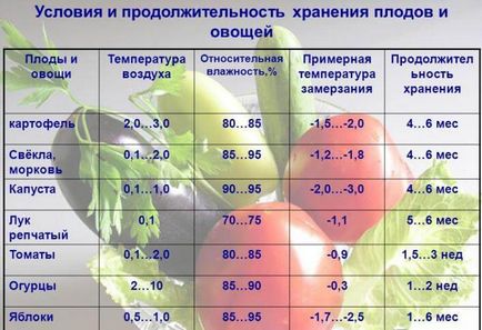 Cumpărați termoconstrucționer termoconstrucționer pentru depozitarea legumelor