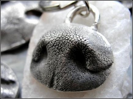 Picioare și nasuri bijuterii de argint neobișnuite pentru iubitorii de animale
