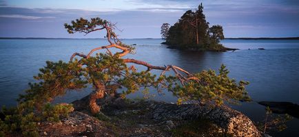 Tratamentul în Karelia este călătorit cu beneficiile sănătății