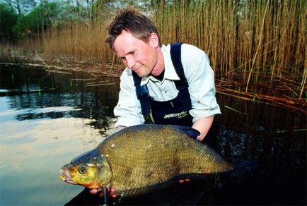 Catching bream cum să prindă bream trofeu (video)