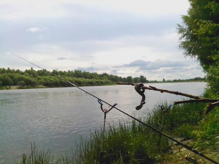 Pescuitul pe gingii pe bream, somn, rapoarte, prinderea pe alimentator, în cădere, momeală