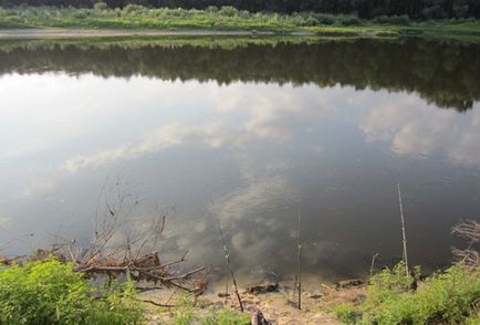 Ловля на яснах рибалка на ляща, сома, звіти, ловля на фідер, восени, наживка