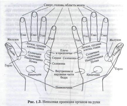 Магія руки і хіромантія - магія твоєї руки