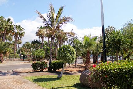 Maspalomas, Spanyolország - szól többit a központban a Maspalomas