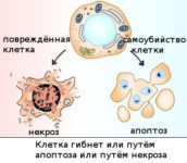 gyógyturizmus