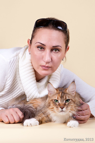 Maine Coon - KLK - bestcatsyug (Maine Coon) Maine Coon - KLK - bestcatsyug