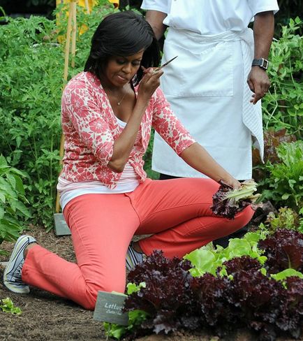 Michelle Obama életrajza és a magánélet