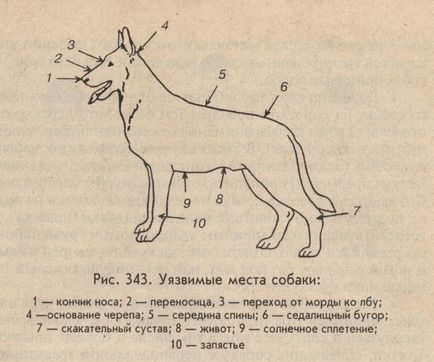 Думки про зброю - 6 (собаки і їх господарі)