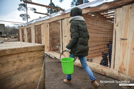 Valóban van szüksége, még akkor is térdre esik „(poszter Bobruisk) Valóban van szüksége, még akkor is térdre esik