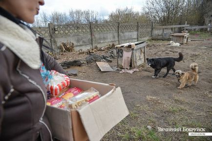 Valóban van szüksége, még akkor is térdre esik „(Bobruisk) Valóban van szüksége, még akkor is térdre esik