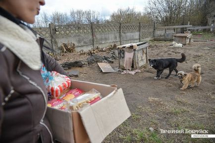 Нам дуже потрібна допомога, хоч на коліна падай »