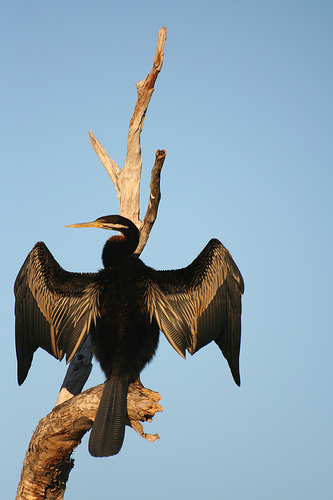 Kakadu Nemzeti Park