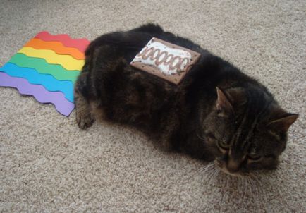 Nyan cat (Нян кет)