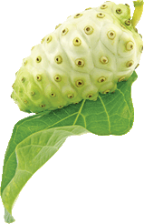 Про бренд, noni care