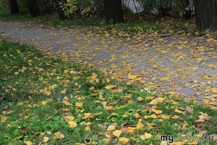 Осінь, жінка, настрій художня творчість - жіноча соціальна мережа