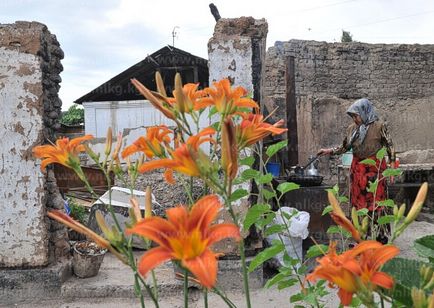 Osh-2010 mai mult acest lucru nu ar trebui să se întâmple din nou