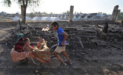 Osh-2010 mai mult acest lucru nu ar trebui să se întâmple din nou