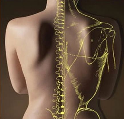 Основні способи профілактики остеохондрозу - остеохондроз - причини, симптоми, лікування, діагностика