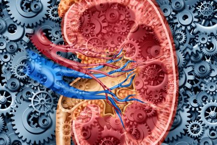 Simptome de insuficiență renală acută, diagnostic, cauze de dezvoltare și îngrijire de urgență