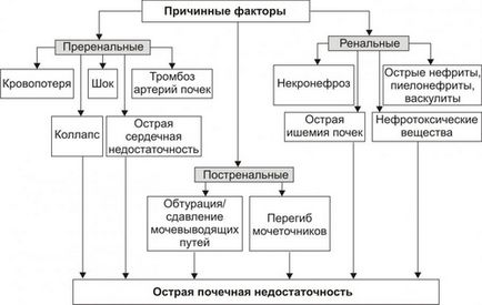 Simptome de insuficiență renală acută, diagnostic, cauze de dezvoltare și îngrijire de urgență