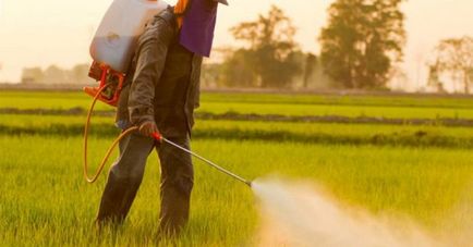 Otrăviri prin pesticide, simptome, tratamentul otrăvirii