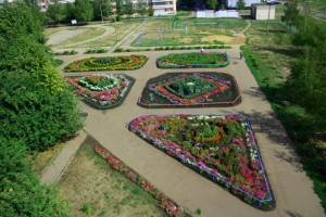 Озеленення шкільного ділянки, будівництво та ремонт