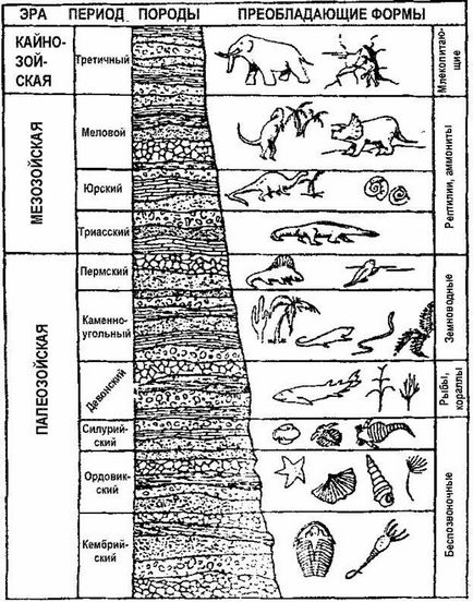 Палеонтологічний літопис 1