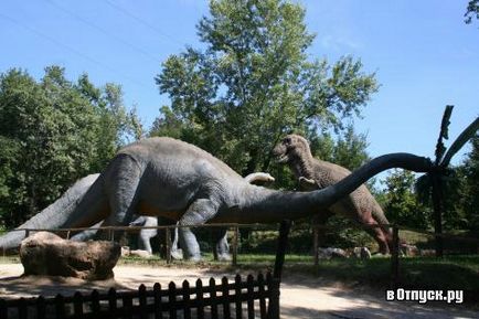 Park «Natura Viva» (Parco Natura Viva) leírása és képek