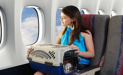 Transportoare pentru câini confortabile de călătorie cu un animal de companie