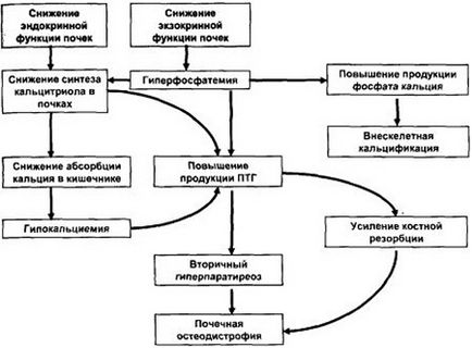 Первинний і вторинний гіперпаратиреоз симптоматика, діагностика і лікування захворювання