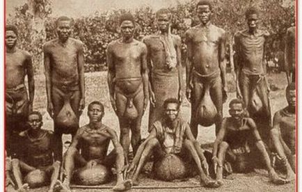 Trib de Bubal din Africa cu testicule mari pe care poți să stai