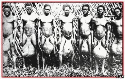 Trib de Bubal din Africa cu testicule mari pe care poți să stai