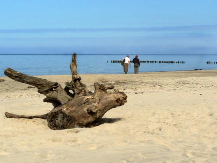 Beach в пионерът