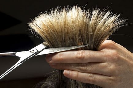 De ce părul este tăiat și îngrijirea părului despicat