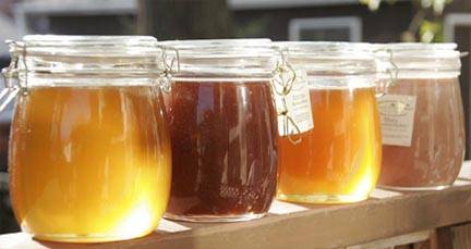 Соняшниковий мед - корисні властивості і рецепти застосування