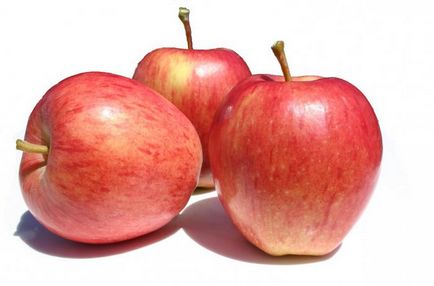 Польські яблука сорту, фото і опис