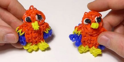 Parrot szövési, mint a gumi (gumi) Parrot rágógumi, mint a szövés