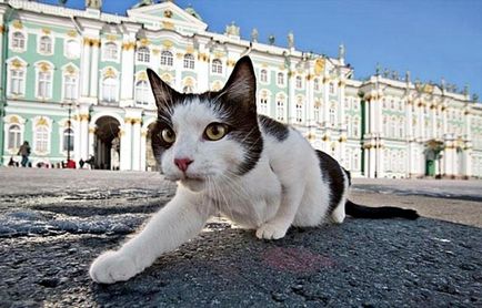 Igazság vagy mítosz St. Petersburg