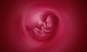 Передлежання і неправильне розташування плаценти при вагітності - чим загрожує і що робити