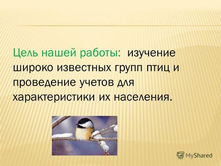 Презентація на тему до олічественний облік птахів і розрахунок щільності населення зимуючих птахів в селищі