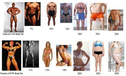 Відсоток підшкірного жиру таблиця, як виміряти
