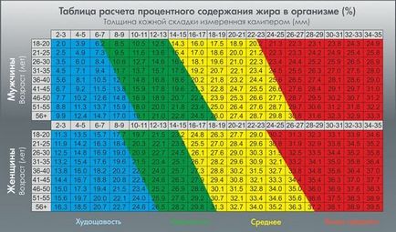 Відсоток підшкірного жиру таблиця, як виміряти