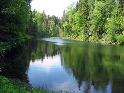 Радонові озера ленінградської області