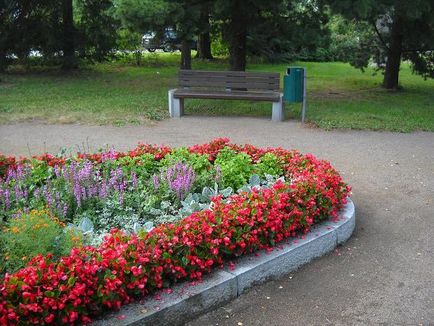 Розповідь про подорож до Фінляндії звіт про поїздку в Коувола