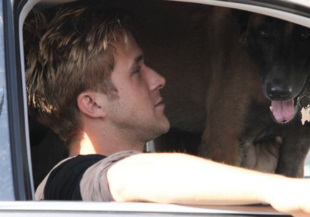Ryan gosling și Eva mendes dragostea de câini este obligatorie, o bârfă