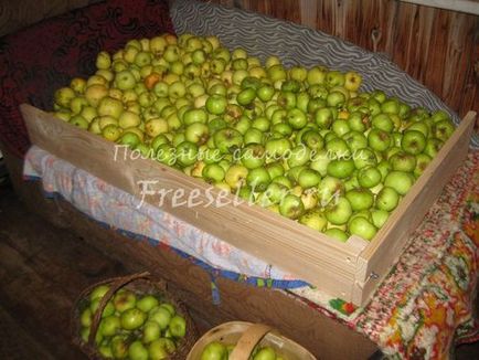 Poluyaschik összecsukható tárolására alma