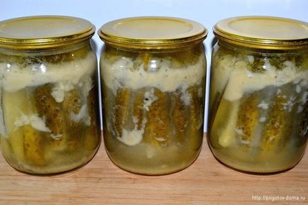 Recept uborka mustár, felkészülés a téli