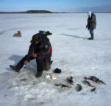 Fishing on Lake Peipsi télen - halászatról Oroszország és az egész világon